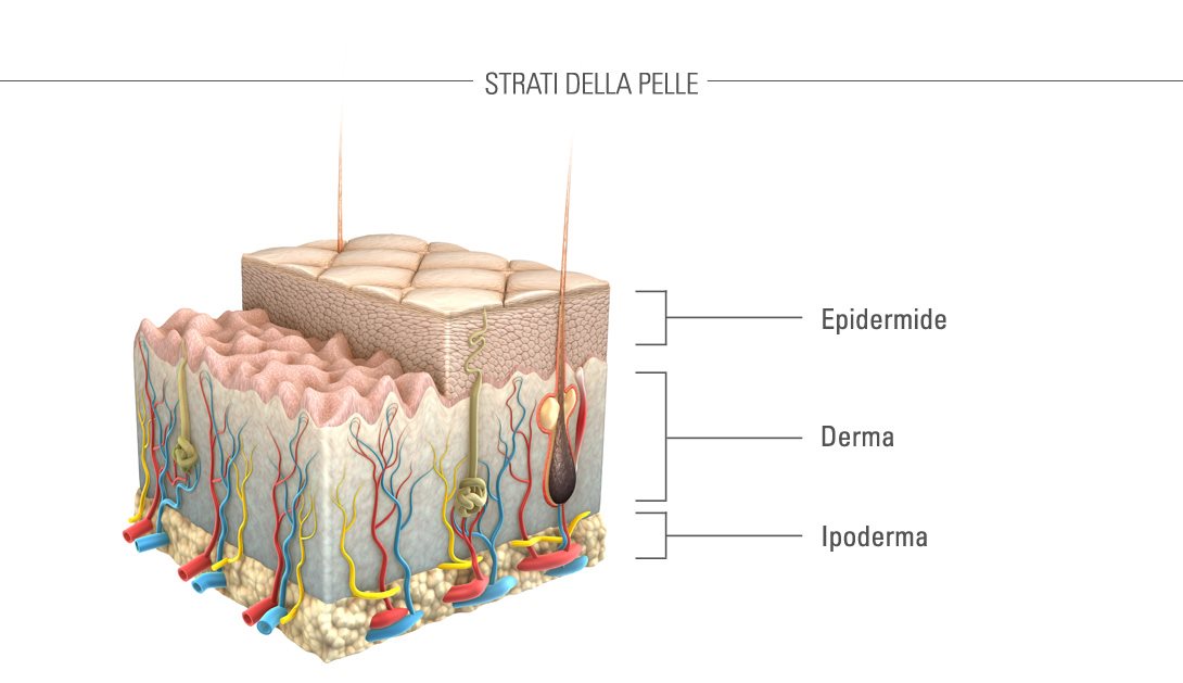 Il liquido di crema di frequenza della voce per il liquido di raso di sogno di persona non martella