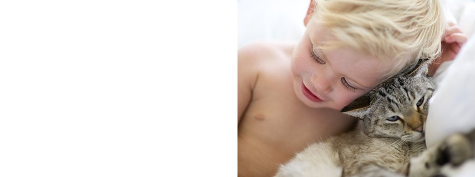 Pelle irritata e allergeni