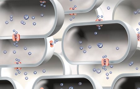 Illustrazione di un numero limitato di Acquaporine.