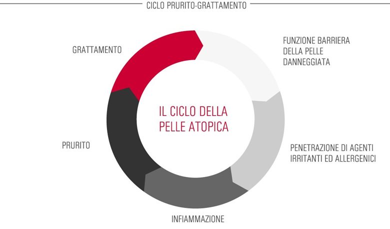 Il ciclo della Pelle Atopica (conosciuto anche come il Ciclo del Prurito-Grattamento)